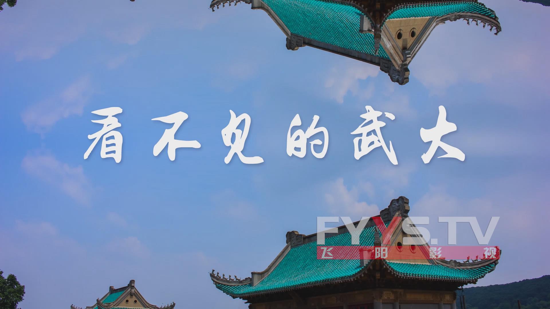 武汉大学2017迎新生开学典礼宣传片《看不见的武大》